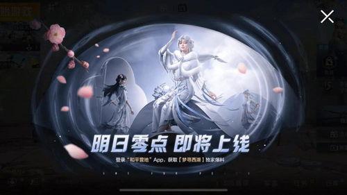 至美皮肤最新爆料视频,惊艳效果与神秘技术大揭秘  第2张